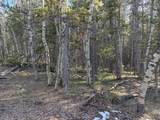 6.44 acres Trail Road - Photo 4