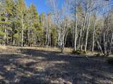 6.44 acres Trail Road - Photo 5