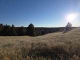 Lot 147 Coyote Trail - Photo 5