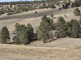 Lot 147 Coyote Trail - Photo 8