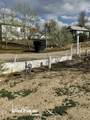 1037 Cedar Street - Photo 9