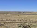  Robinett Ranches 160 Acres - Photo 11