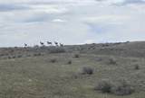  Robinett Ranches 160 Acres - Photo 14