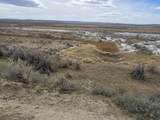  Robinett Ranches 160 Acres - Photo 17