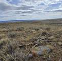  Robinett Ranches 160 Acres - Photo 7