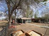 1116 Adams Avenue - Photo 2