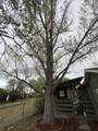 1116 Adams Avenue - Photo 31
