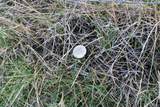 0000 Lake Ridge Road - Photo 46