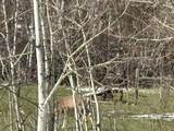 8 Buck Trail - Photo 13