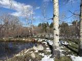 8 Buck Trail - Photo 2