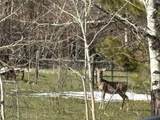8 Buck Trail - Photo 20