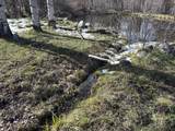 8 Buck Trail - Photo 5