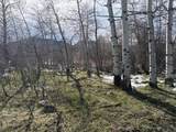 8 Buck Trail - Photo 8