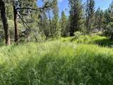 3858 Highway 28 - Photo 43