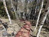 65 Carpenter Street - Photo 23