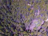  Porcupine Drive Lot 27B - Photo 11