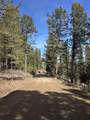  Porcupine Drive Lot 27B - Photo 12