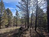  Porcupine Drive Lot 27B - Photo 2