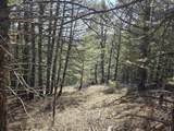  Porcupine Drive Lot 27B - Photo 6