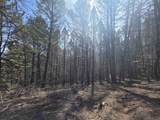  Porcupine Drive Lot 27B - Photo 9