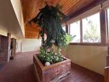815 Stephens Street - Photo 20