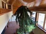 815 Stephens Street - Photo 6