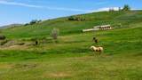 TBD Beaver Creek Rd - Photo 3