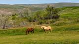 TBD Beaver Creek Rd - Photo 33