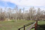 12699 State Highway 410 - Photo 17
