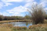 12699 State Highway 410 - Photo 21