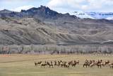  North Fork Highway - Photo 20