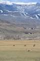  North Fork Highway - Photo 41
