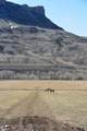  North Fork Highway - Photo 42