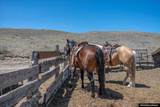 1287 Patten Creek Rd - Photo 42