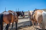 1287 Patten Creek Rd - Photo 43