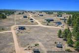 4 Blackhawk Trail - Photo 10