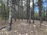 10555 Thk Road - Photo 3