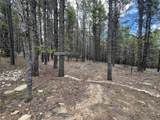 10555 Thk Road - Photo 4