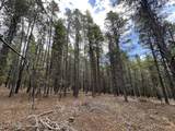 10555 Thk Road - Photo 6
