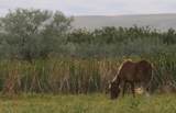 13601 Us Hwy 287 - Photo 37