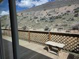 509 Marciana Street - Photo 35
