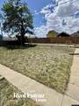 716 Beech Street - Photo 29