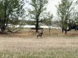 19 Weather Vane Lane - Photo 3