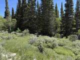 Commissary Unit C-2 Lot 79 - Photo 6