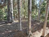 77 Brown Trout Dr - Photo 30