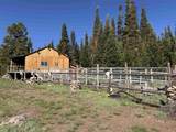 77 Brown Trout Dr - Photo 4