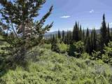 77 Brown Trout Dr - Photo 49