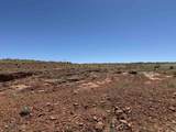 Lot 31 Red Rim Ranch - Photo 11
