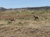 Lot 31 Red Rim Ranch - Photo 2