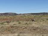 Lot 31 Red Rim Ranch - Photo 3